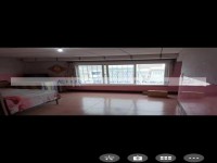 其它图