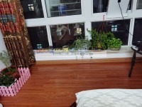 其它图